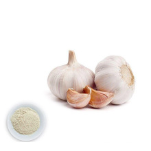 Natural Odorless Garlic Extract Powder Allicin